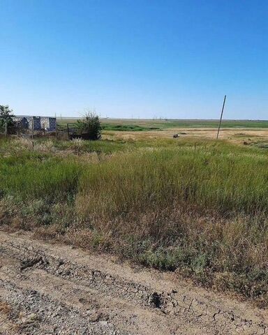 садовые участки Очистные, Абрикосовая ул фото