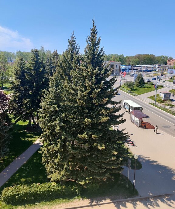 квартира р-н Новомосковский г Новомосковск ул Комсомольская 2 фото 19