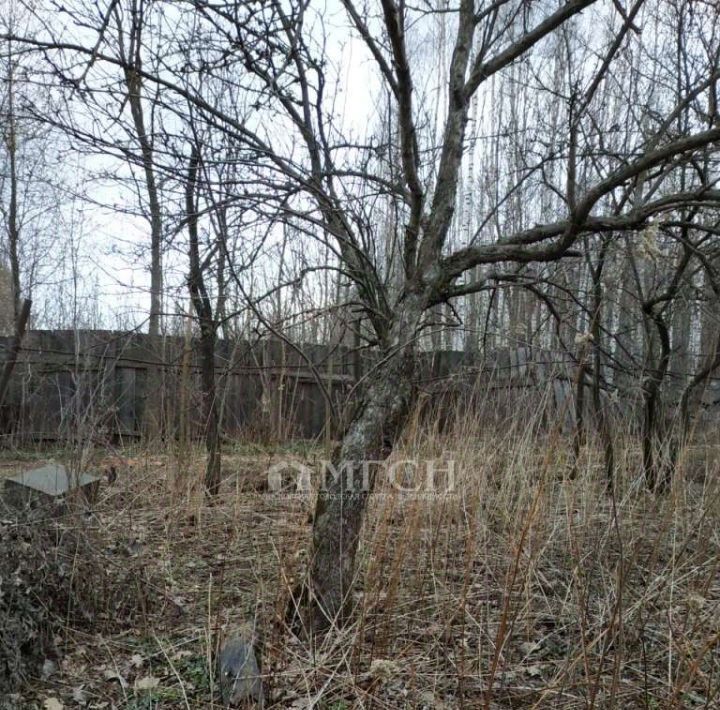 земля г Балашиха д Соболиха р-н территория Владение 63 Щитниково кв-л, № 5 массив, 7, Щёлковская фото 2