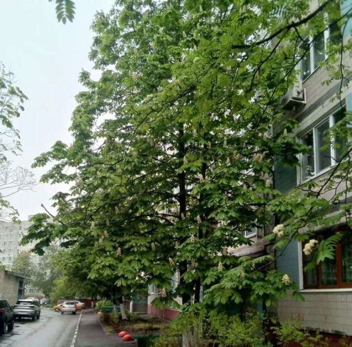 квартира г Старый Оскол Олимпийский микрорайон 30А фото 20