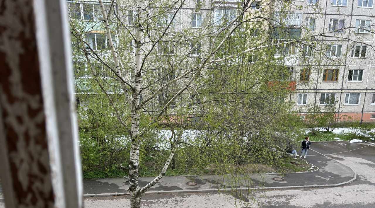 квартира р-н Александровский г Александров ул Юбилейная 4/2 фото 14