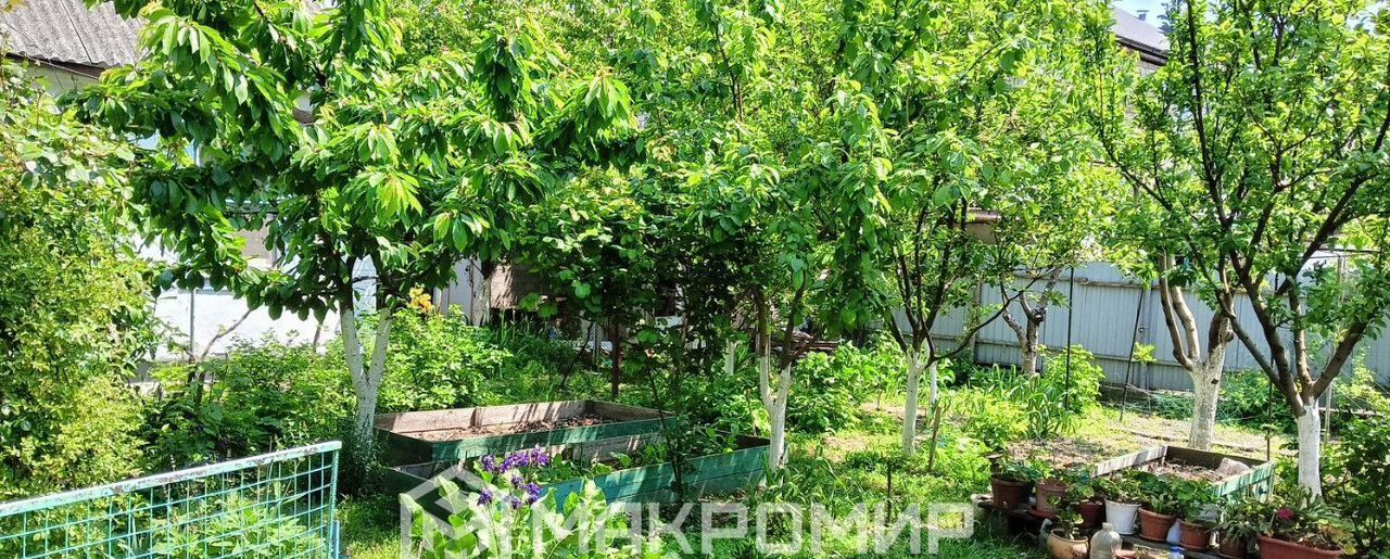 дом г Новороссийск р-н Восточный ул Курская 18 фото 14