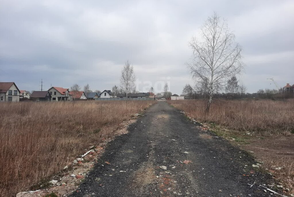 земля р-н Зеленоградский г Зеленоградск п Вишневое фото 4
