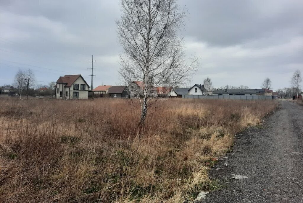 земля р-н Зеленоградский г Зеленоградск п Вишневое фото 2