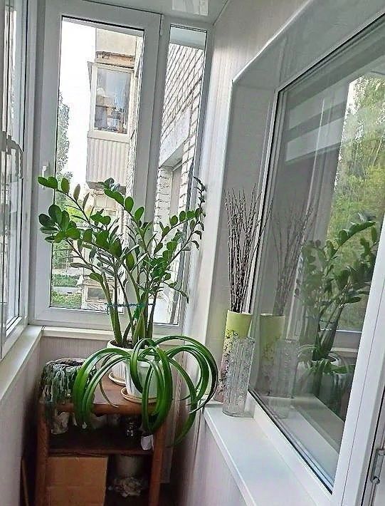 квартира г Ростов-на-Дону р-н Октябрьский ул Гагринская 7 фото 20