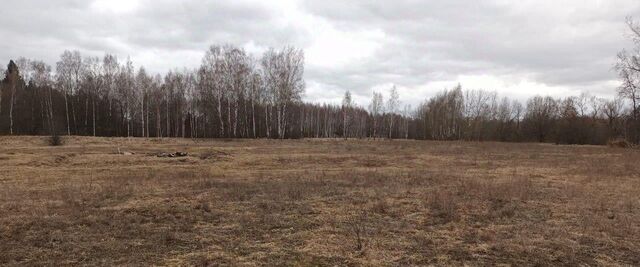 д Савинки фото