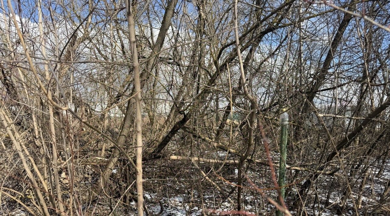 офис г Ивантеевка ул Рабочая Пушкинский городской округ фото 3