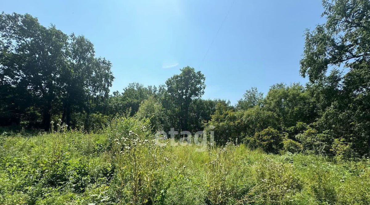 земля г Благовещенск фото 2