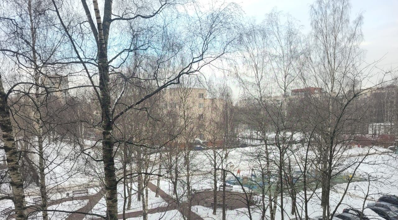 квартира г Санкт-Петербург метро Гражданский Проспект р-н Прометей пр-кт Луначарского 88к/1 фото 34
