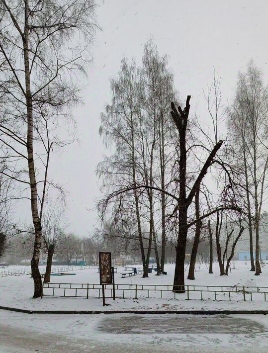 квартира г Тверь р-н Московский б-р Гусева 45к/2 фото 23