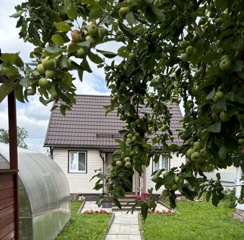 ул Новая Шушары фото