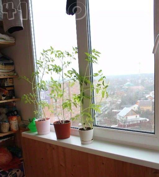 квартира городской округ Наро-Фоминский г Апрелевка аллея Цветочная 15 Апрелевка фото 25