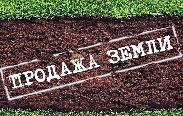 п Широчанка снт Луч Широчанка фото
