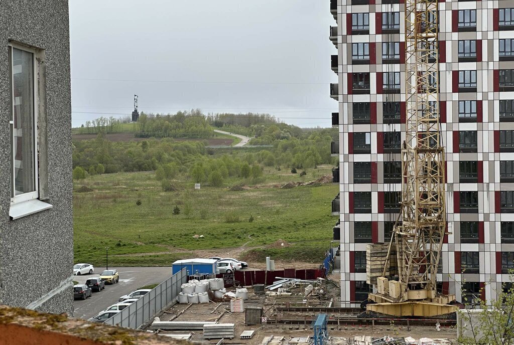 квартира г Псков ул Ижорского Батальона 45 фото 6
