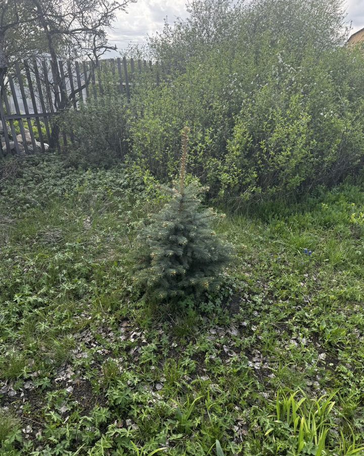 дом г Омск р-н Центральный территория СОСН Тополёк, 3-я аллея, 101 фото 5