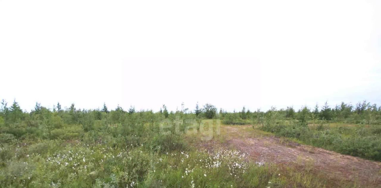 земля г Новый Уренгой ул Глинки фото 4