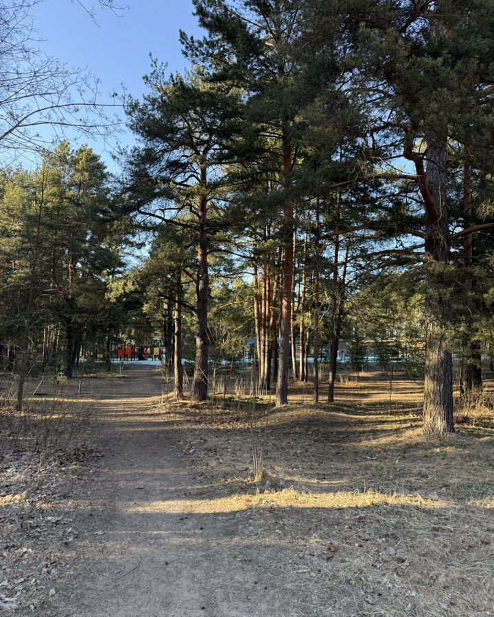квартира г Сестрорецк ул Борисова 9к/1 р-н Курортный фото 11