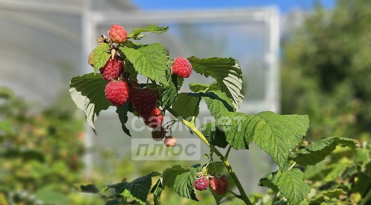 дом г Обнинск снт Самсоново 20 фото 24