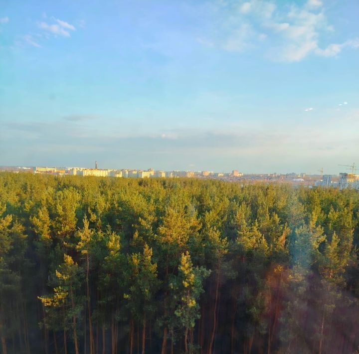 квартира г Воронеж р-н Железнодорожный ул Остужева 29а фото 25