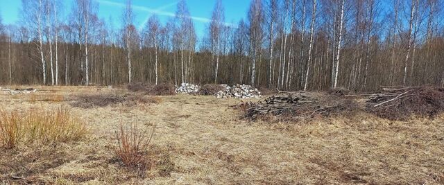 ул. Осиновая, 3 фото