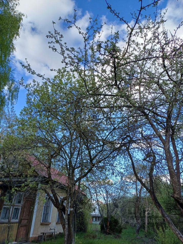 дом г Чехов ул Луговая 44а фото 3
