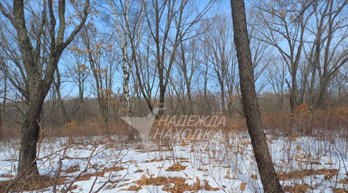 земля г Находка ул Прибрежная 40 фото 6