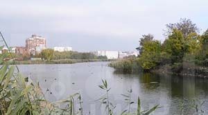 дом г Краснодар пгт Пашковский р-н Карасунский жилмассив фото 24