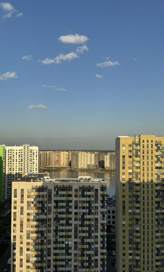 квартира г Москва метро Некрасовка ул Вертолётчиков 1 ЖК «Некрасовка (ДСК-1-Авеста-Строй)» муниципальный округ Некрасовка фото 9