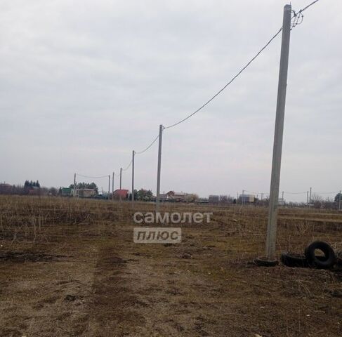 ул Мира фото