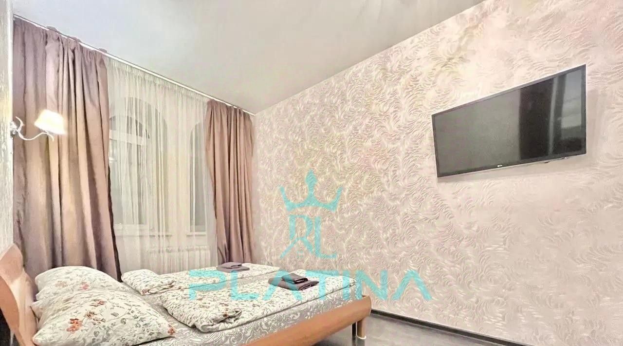 квартира г Казань метро Площадь Тукая ул Большая Красная 63 фото 11