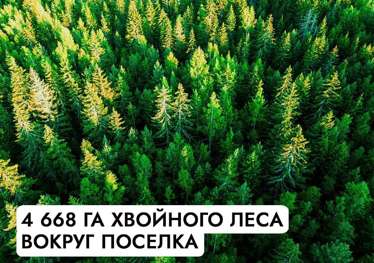 земля г Клин 54 км, эко-посёлок Ели эстейт, Новопетровское, Ленинградское шоссе фото 12