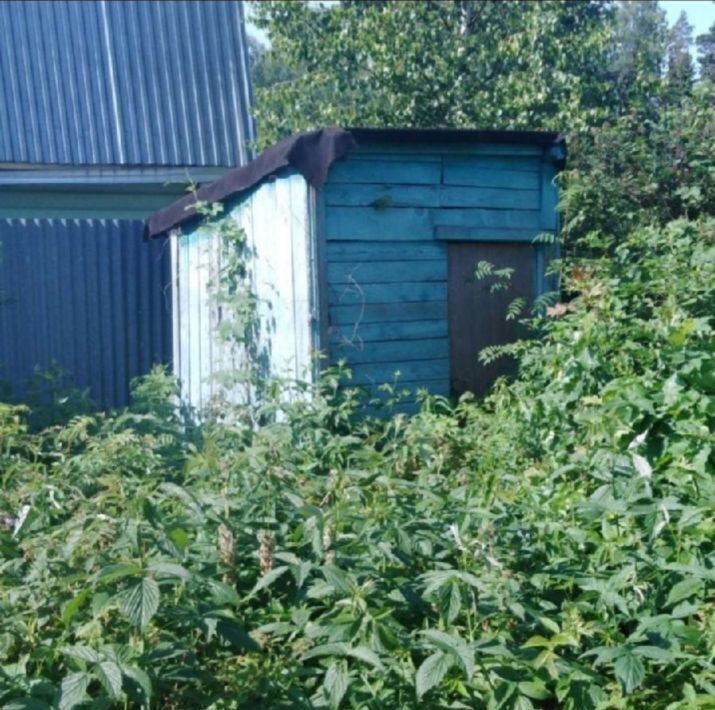 земля городской округ Богородский г Ногинск снт Елочка 25 фото 3