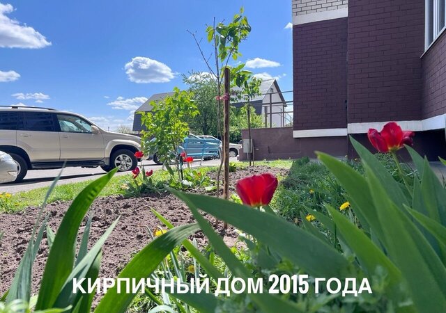 р-н Советский пр-кт Станке Димитрова 67к/6 фото