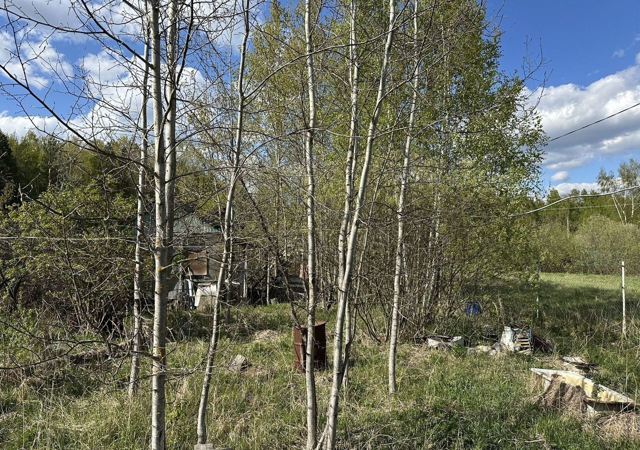 земля г Егорьевск снт Ромашка 104 км, Новорязанское шоссе фото 6