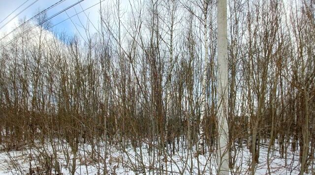г Краснозаводск проезд Кленовый фото