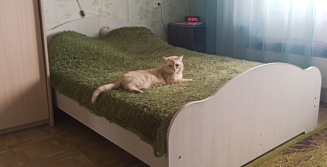 ул Микуцкого 6 фото