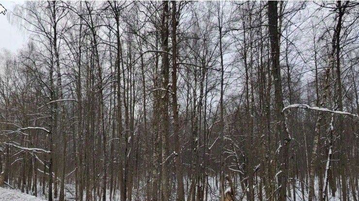офис г Чехов фото 1