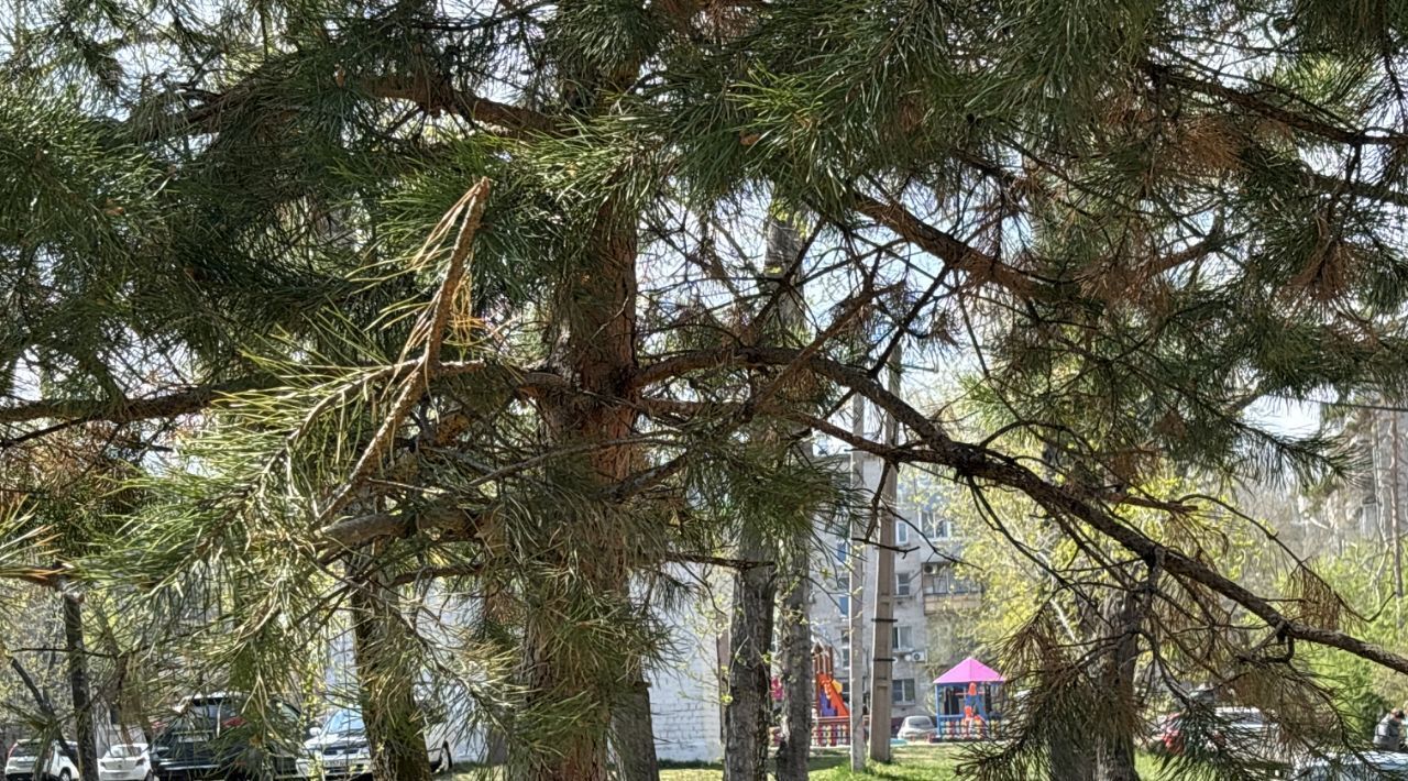 квартира г Хабаровск р-н Краснофлотский ул Зои Космодемьянской 34 фото 10