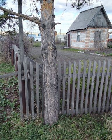 Евсинский сельсовет, садовое потребительское общество Юбилейный, Степная ул, Искитим фото