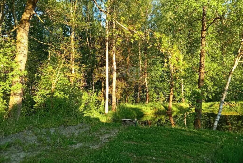 земля р-н Гурьевский г Гурьевск снт Парус пер Луговой фото 17