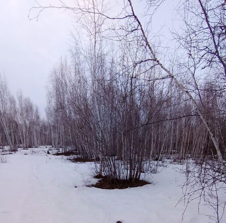 земля г Якутск Покровский тракт, 16-й км фото 1