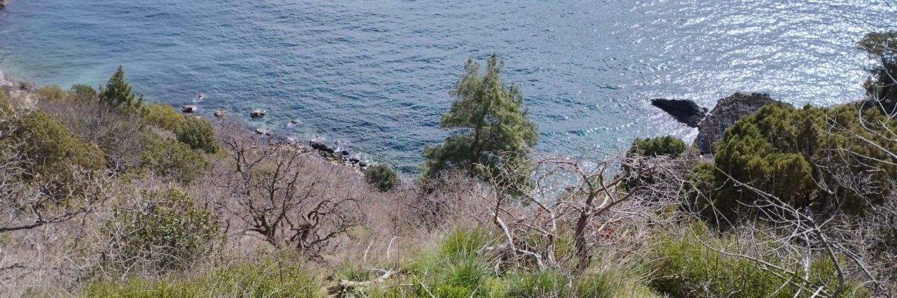 земля г Ялта пгт Санаторное ул Гагарина 1а фото 26