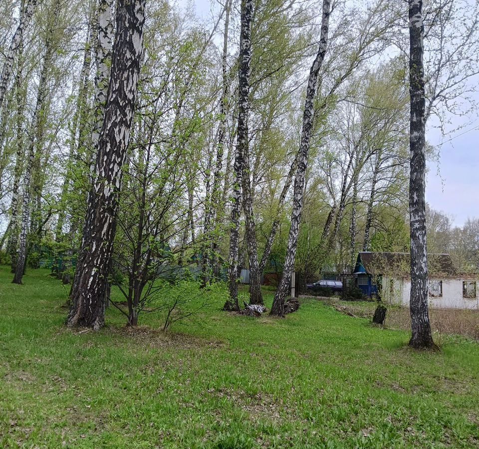 дом г Кемерово р-н Заводский снт Сухой Искитим Кемеровская обл. — Кузбасс, 479/480 фото 2