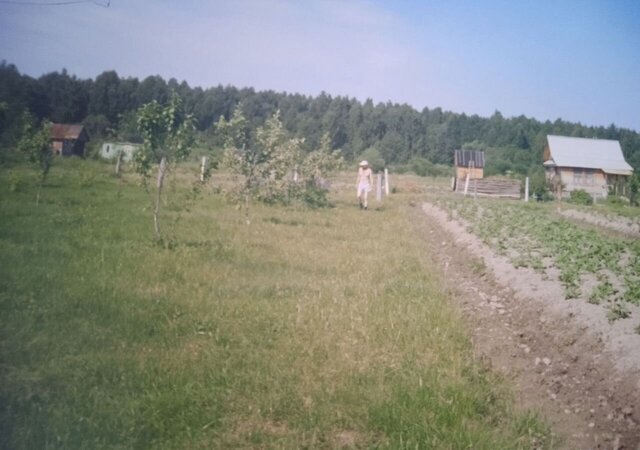 снт Цветочный Углич фото