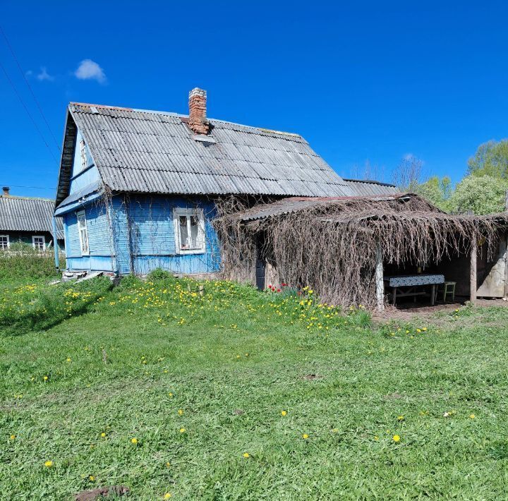 дом р-н Гдовский г Гдов д Луневщина Юшкинская волость, ул. Центральная фото 20
