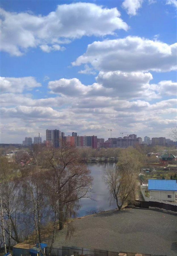 квартира г Балашиха ул Лукино 53а фото 11