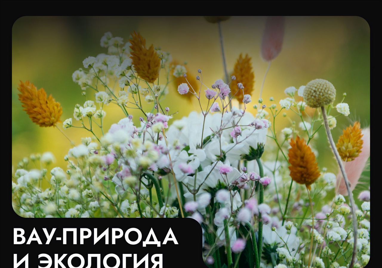 земля г Клин 54 км, эко-посёлок Ели эстейт, Новопетровское, Ленинградское шоссе фото 25