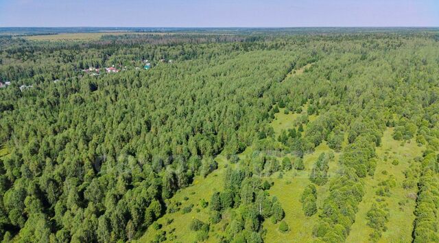 Деревня Набережная сл фото