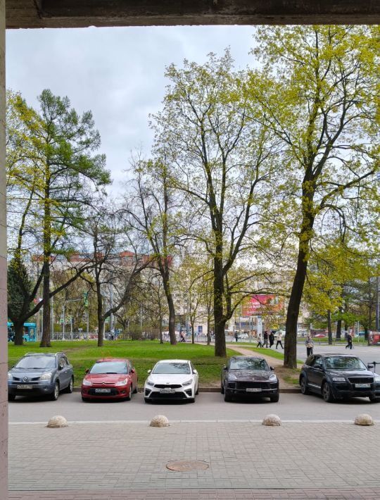 квартира г Санкт-Петербург метро Площадь Мужества пр-кт Тореза 2/40 округ Светлановское фото 28