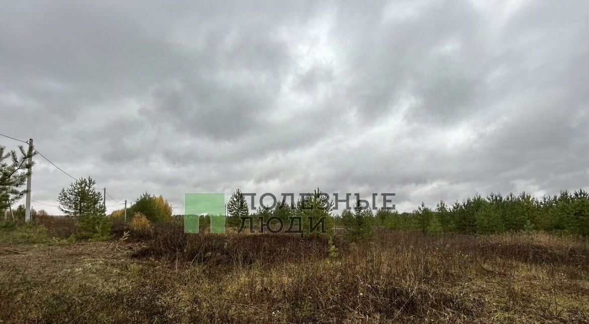 земля г Киров д Олинцы ул Олинская фото 4